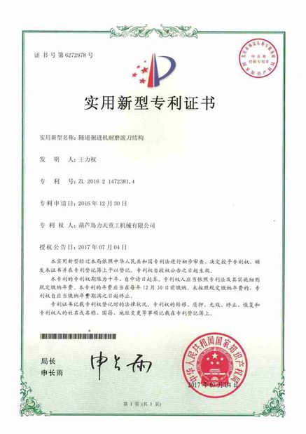 Κίνα Litian Heavy Industry Machinery Co., Ltd. Πιστοποιήσεις